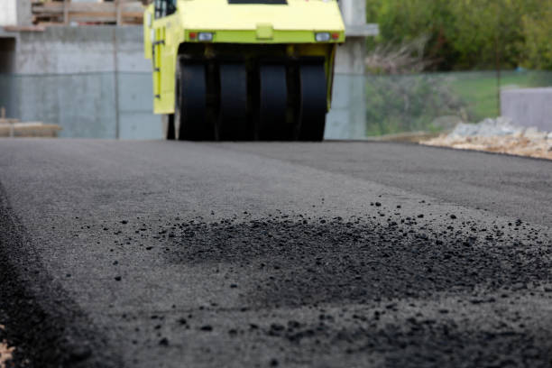 Best Residential Paver Driveway  in Rainbow Springs, FL
